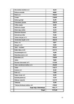 Biznesa plāns 'Biznesa plāns pirmsskolas vecuma bērnu interešu izglītības iestādei', 13.