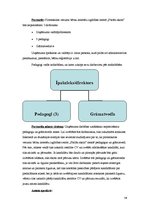 Biznesa plāns 'Biznesa plāns pirmsskolas vecuma bērnu interešu izglītības iestādei', 20.