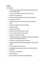 Biznesa plāns 'Biznesa plāns pirmsskolas vecuma bērnu interešu izglītības iestādei', 21.