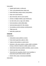 Biznesa plāns 'Biznesa plāns pirmsskolas vecuma bērnu interešu izglītības iestādei', 22.