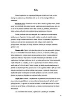 Biznesa plāns 'Biznesa plāns pirmsskolas vecuma bērnu interešu izglītības iestādei', 25.