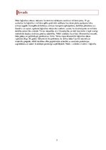 Referāts 'Loģistikas priekšmets', 3.