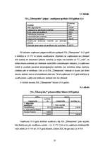 Biznesa plāns 'SIA "Ūdensprieks"', 28.