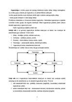 Referāts 'Organizācijas vide', 2.