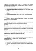 Referāts 'Organizācijas vide', 4.