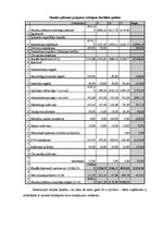 Biznesa plāns 'Jauna uzņēmuma dibināšana daudzdzīvokļu māju koplietošanas telpu uzkopšanas jomā', 25.