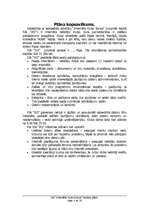 Biznesa plāns 'Biznesa plāns', 3.