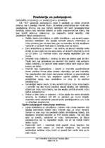 Biznesa plāns 'Biznesa plāns', 6.