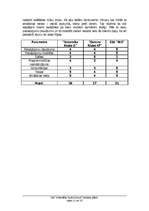 Biznesa plāns 'Biznesa plāns', 11.