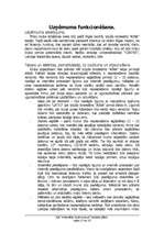 Biznesa plāns 'Biznesa plāns', 17.