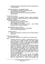 Biznesa plāns 'Biznesa plāns', 20.