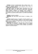 Biznesa plāns 'Biznesa plāns', 23.