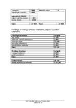 Biznesa plāns 'Biznesa plāns', 25.