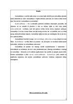 Referāts 'Audzināšanas filosofija', 2.