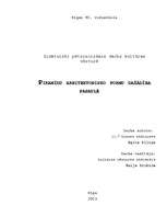 Referāts 'Piramīdu arhitektonisko formu dažādība pasaulē', 1.