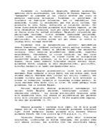 Referāts 'Piramīdu arhitektonisko formu dažādība pasaulē', 5.