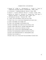 Referāts 'Piramīdu arhitektonisko formu dažādība pasaulē', 22.