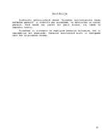 Referāts 'Piramīdu arhitektonisko formu dažādība pasaulē', 23.