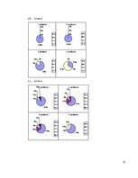 Referāts 'Piramīdu arhitektonisko formu dažādība pasaulē', 33.