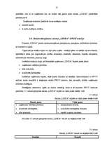 Biznesa plāns 'Skaistumkopšanas salona "Linda" izveidošana', 27.