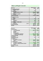 Biznesa plāns 'Skaistumkopšanas salona "Linda" izveidošana', 72.