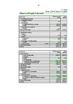 Biznesa plāns 'Skaistumkopšanas salona "Linda" izveidošana', 73.