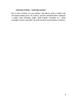 Konspekts 'Reklāma katalogos', 6.