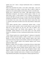 Referāts 'Izglītība daudzkultūru vidē', 3.