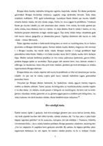 Referāts 'Izglītība daudzkultūru vidē', 5.