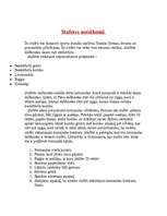 Konspekts 'Stafete sporta nodarbībai', 2.