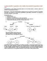 Konspekts 'Komerctiesību eksāmena jautājumi un atbildes', 16.