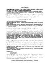 Konspekts 'Civiltiesību vispārīgie pamati - lekciju pieraksti', 1.