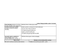 Prakses atskaite 'Agrīnās bērnības pedagoģiskās prakses dienasgrāmata', 13.