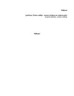 Prakses atskaite 'Agrīnās bērnības pedagoģiskās prakses dienasgrāmata', 45.