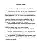 Biznesa plāns 'Skolēnu mācību firmas biznesa plāns', 4.