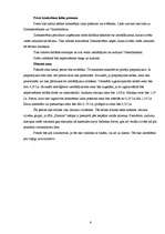 Biznesa plāns 'Skolēnu mācību firmas biznesa plāns', 6.