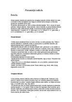 Konspekts 'Pirmatnējā māksla', 1.