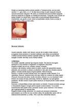 Konspekts 'Pirmatnējā māksla', 4.