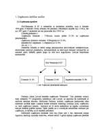 Referāts 'Jaunu pakalpojumu virzīšana tirgū', 1.