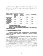 Referāts 'Jaunu pakalpojumu virzīšana tirgū', 3.