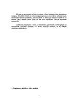 Referāts 'Jaunu pakalpojumu virzīšana tirgū', 8.