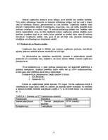 Referāts 'Jaunu pakalpojumu virzīšana tirgū', 9.