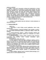 Referāts 'Jaunu pakalpojumu virzīšana tirgū', 11.