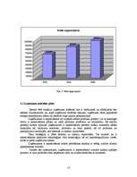 Referāts 'Jaunu pakalpojumu virzīšana tirgū', 13.
