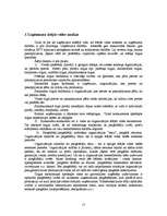 Referāts 'Jaunu pakalpojumu virzīšana tirgū', 15.