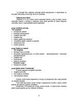 Referāts 'Jaunu pakalpojumu virzīšana tirgū', 27.