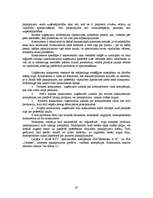 Referāts 'Jaunu pakalpojumu virzīšana tirgū', 30.