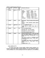 Referāts 'Jaunu pakalpojumu virzīšana tirgū', 31.