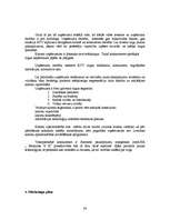 Referāts 'Jaunu pakalpojumu virzīšana tirgū', 34.