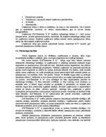 Referāts 'Jaunu pakalpojumu virzīšana tirgū', 36.